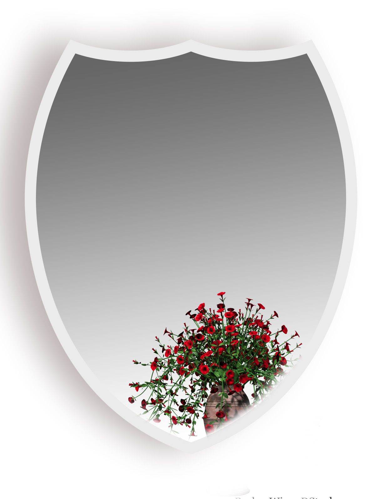 King blaze U4 mirrror - Mirrorwalla